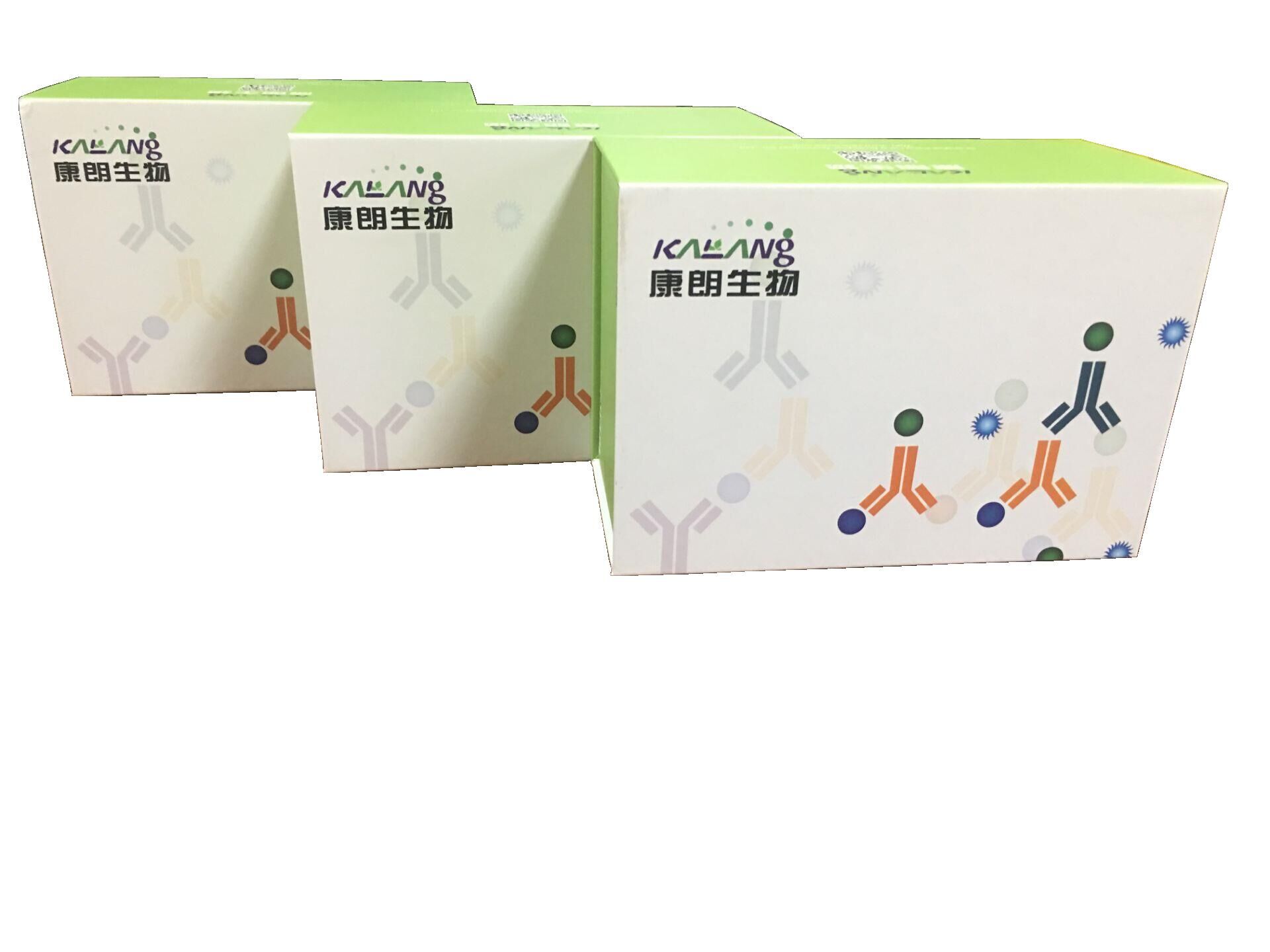 人基质金属蛋白酶3酶联免疫试剂盒