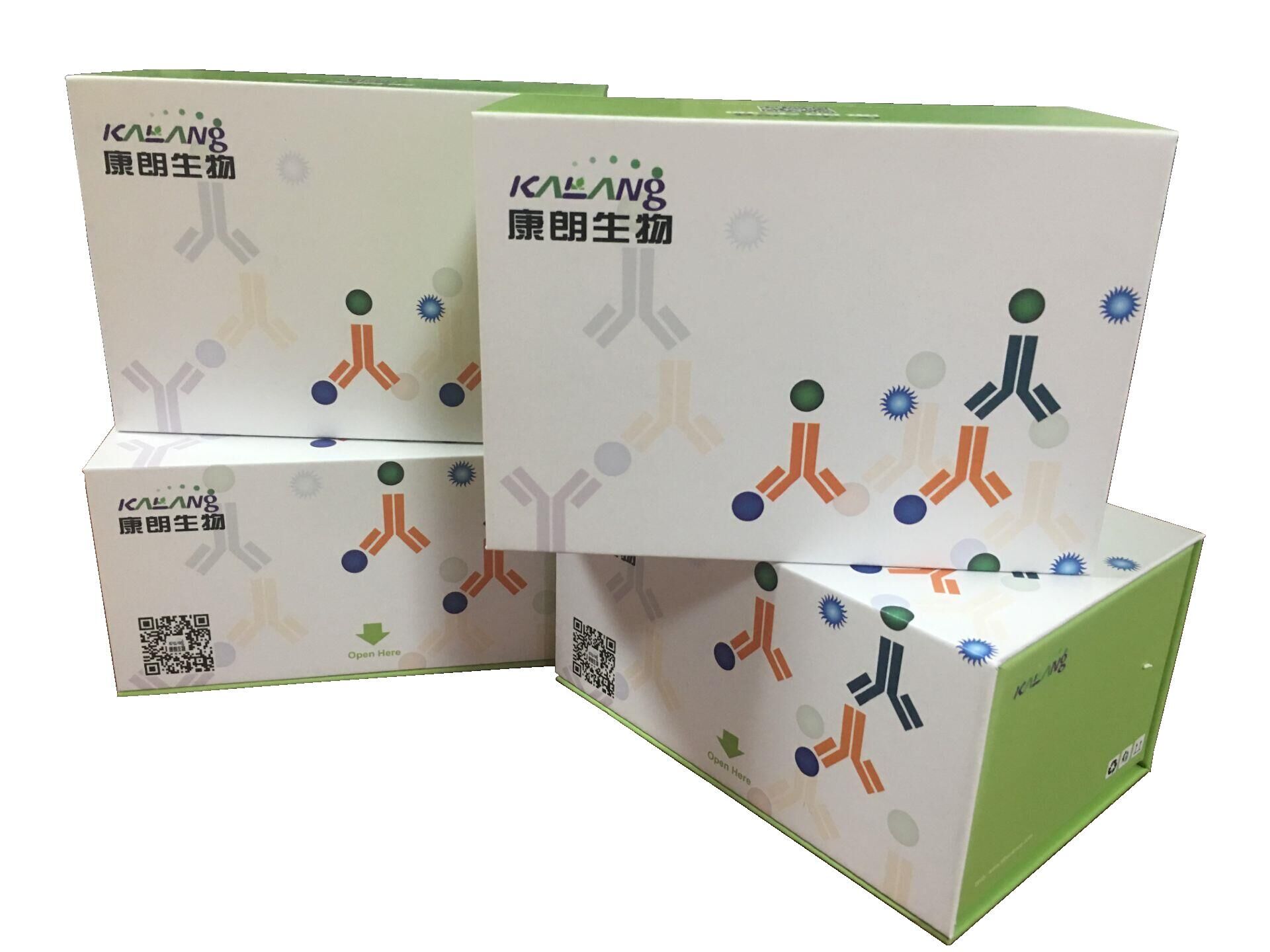 尿调蛋白(UMOD)检测试剂盒（ ELISA 方法）