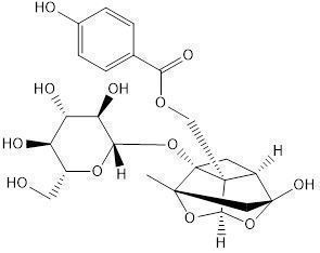 氧化芍药苷;羟基芍药苷;39011-91-1;Oxypaeoniflorin