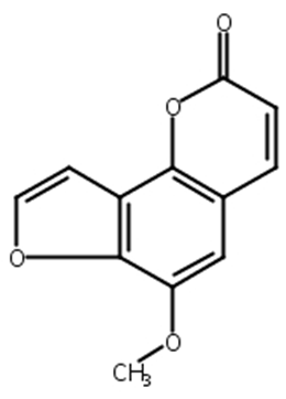 6-甲氧基当归素