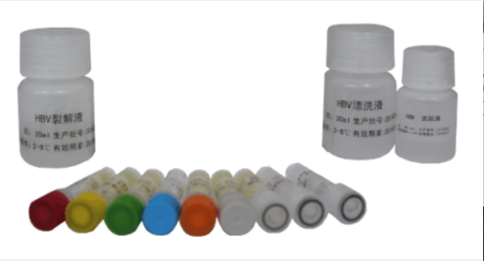 CDK7抑制剂(BS-181)