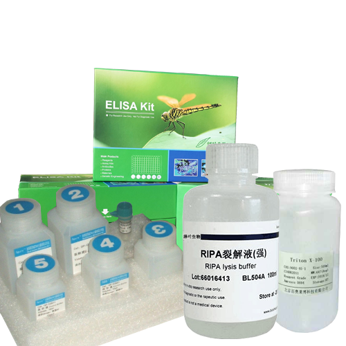 VEGFR2/KDR抑制剂(Vatalanib)