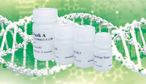 Bcl-2抑制剂(Gossypol acetic acid)