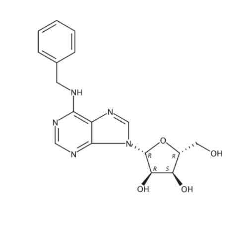 “6-苄基腺苷”4294-16-0高纯原料供应