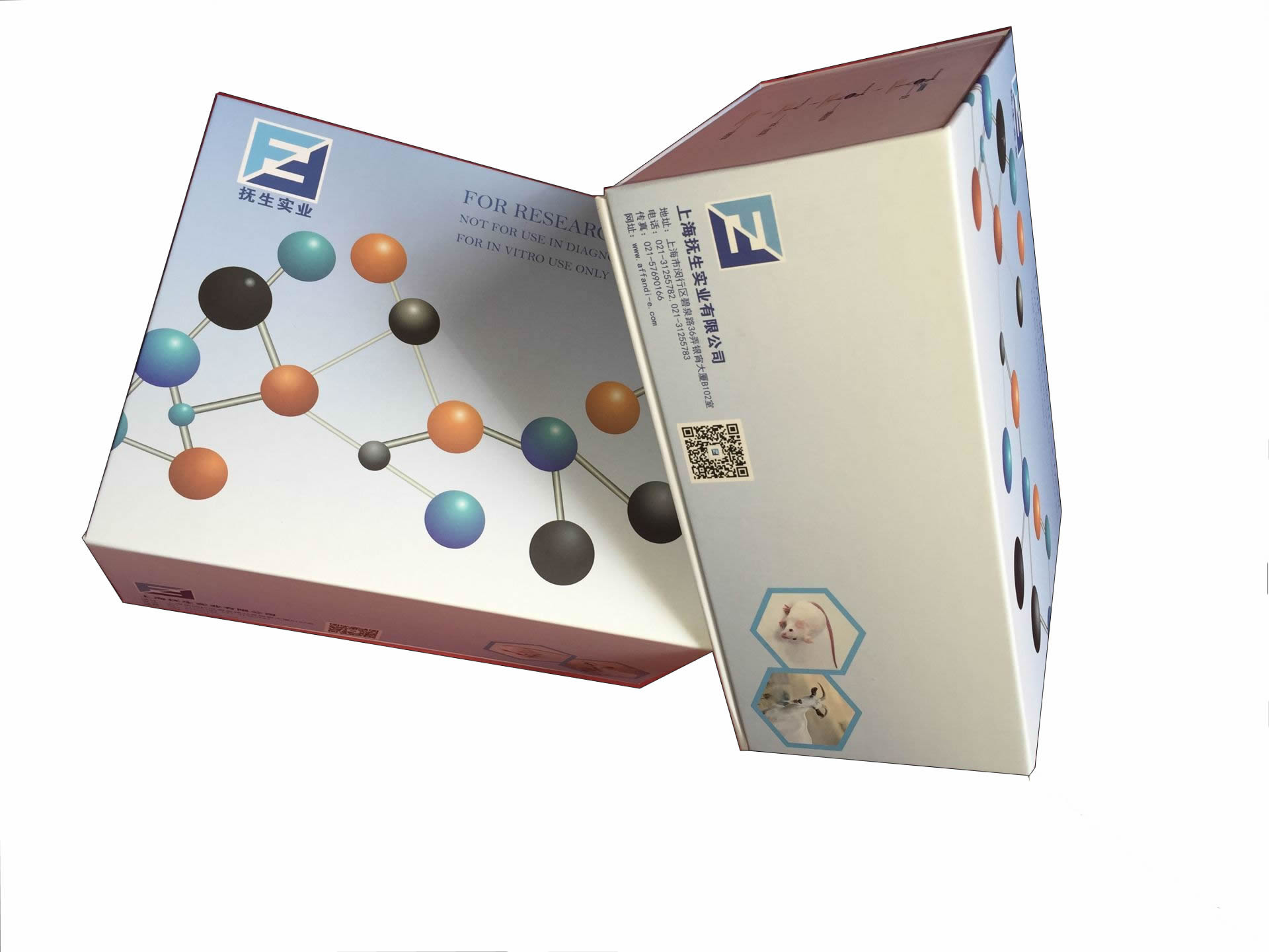 小鼠4-羟基壬烯酸(HNE)ELISA试剂盒