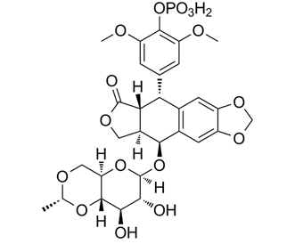 磷酸依托泊苷