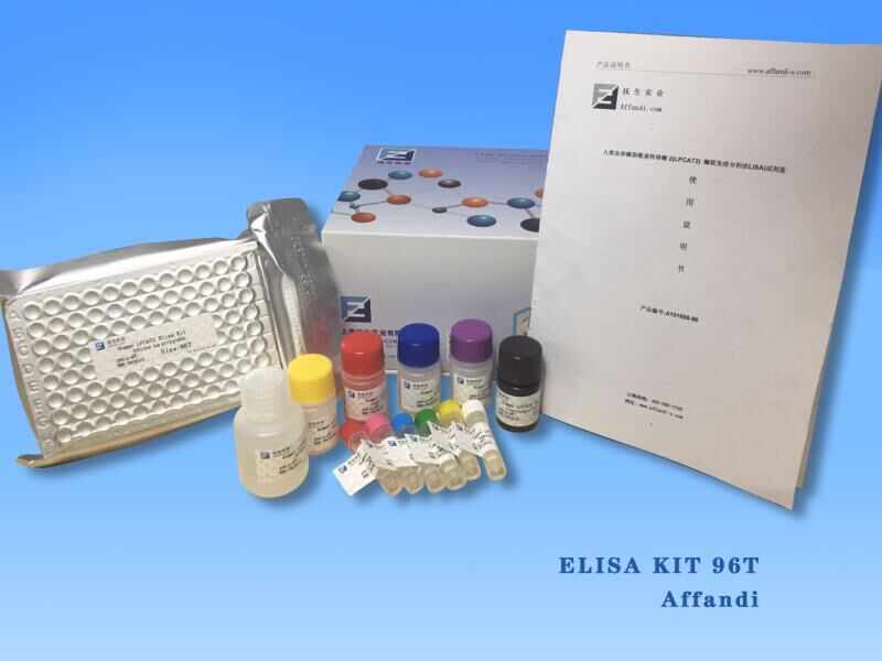 小鼠血清淀粉样蛋白A2(SAA2)ELISA试剂盒