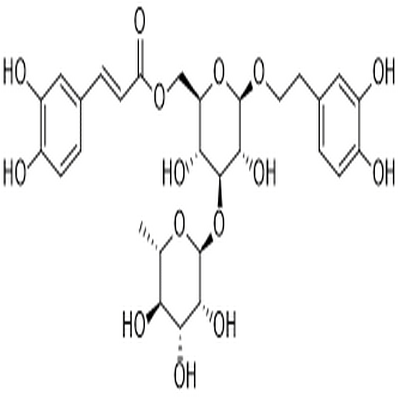 Isoacteoside
