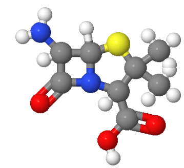 551-16-6；6-氨基青霉烷酸
