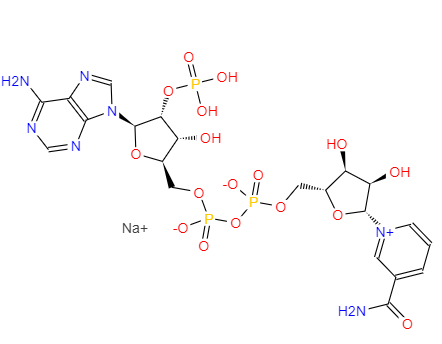 三磷酸吡定核苷酸,辅酶Ⅱ(NADP 钠盐)