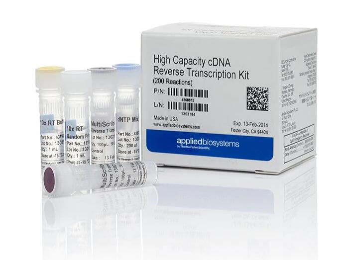 犬疱疹病毒PCR试剂盒