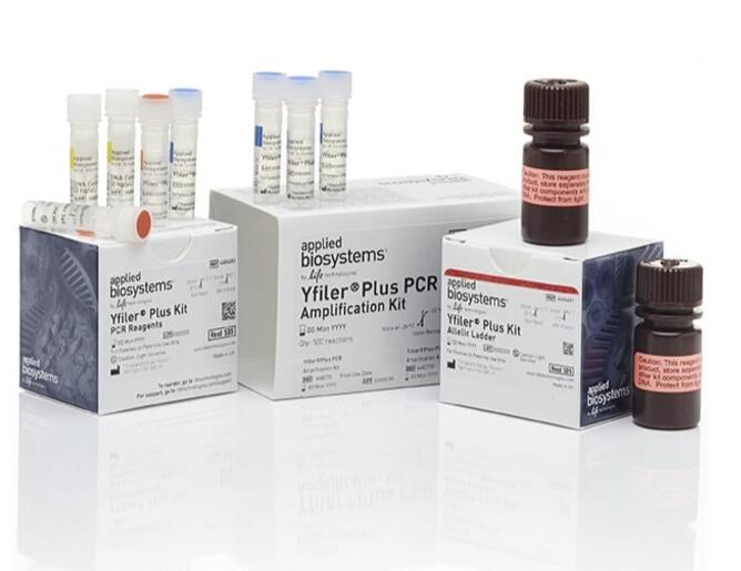 节杆菌通用染料法荧光定量PCR试剂盒