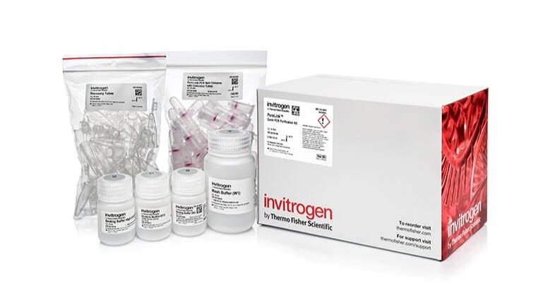 山羊疱疹病毒1型探针法荧光定量PCR试剂盒