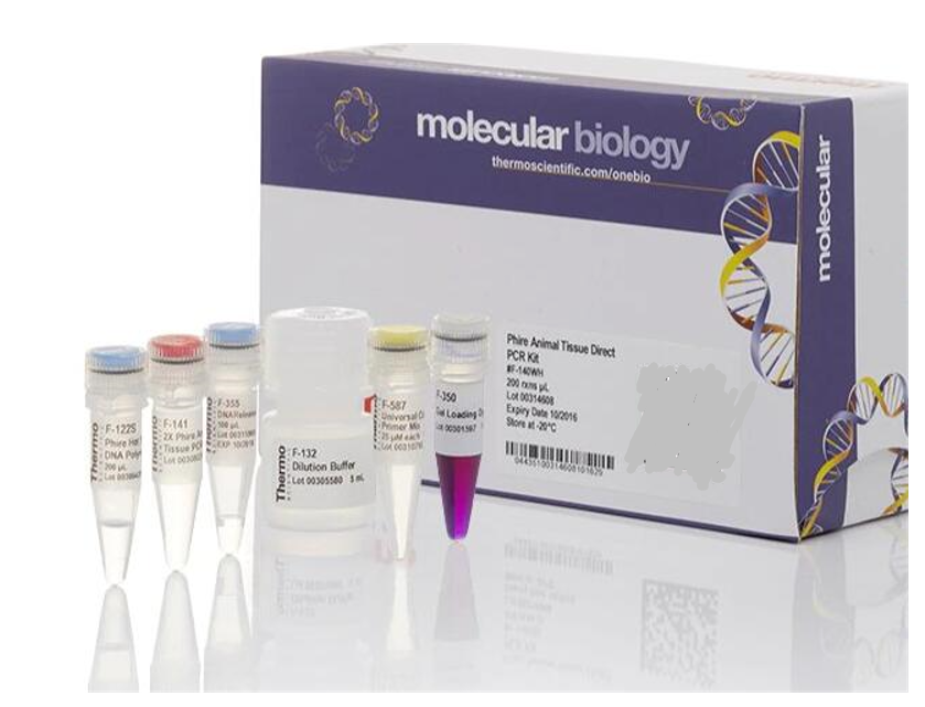 饰纹汀蛙虹彩病毒染料法荧光定量PCR试剂盒