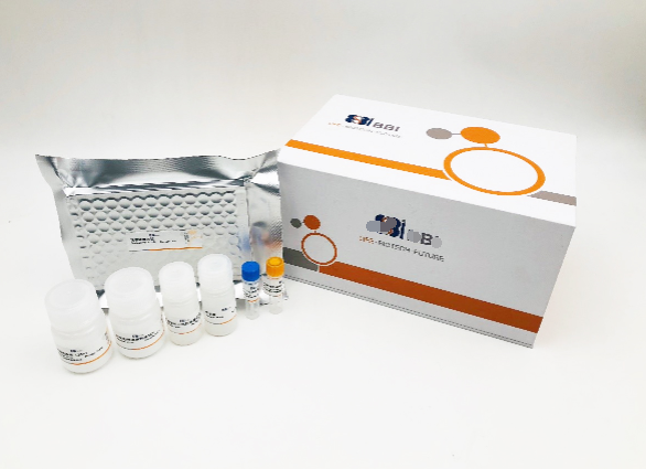 人硫酸脑苷酯(SFT)Elisa试剂盒