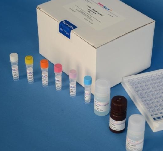 大鼠甲状腺转录因子(TTF)Elisa试剂盒