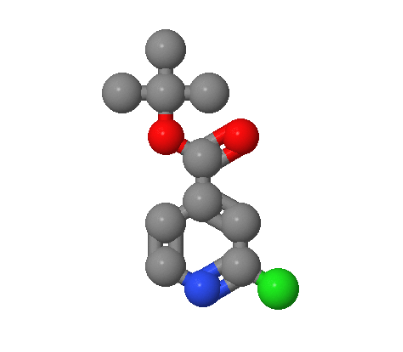 295349-62-1；2-氯异烟酸叔丁酯