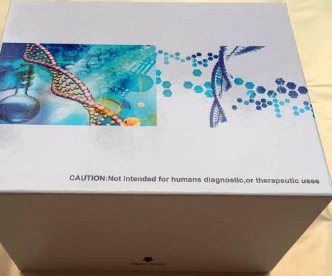钙检测试剂盒(甲基麝香草酚蓝比色法)
