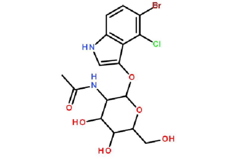 5-溴-4-氯-3-吲哚-N-乙酰 β-D-氨基葡萄糖苷