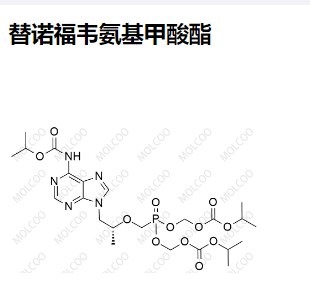 1244022-54-5   替诺福韦氨基甲酸酯