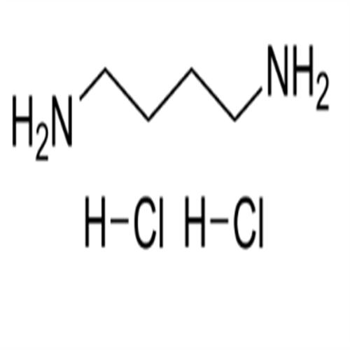 1,4-Diaminobutane dihydrochloride.png