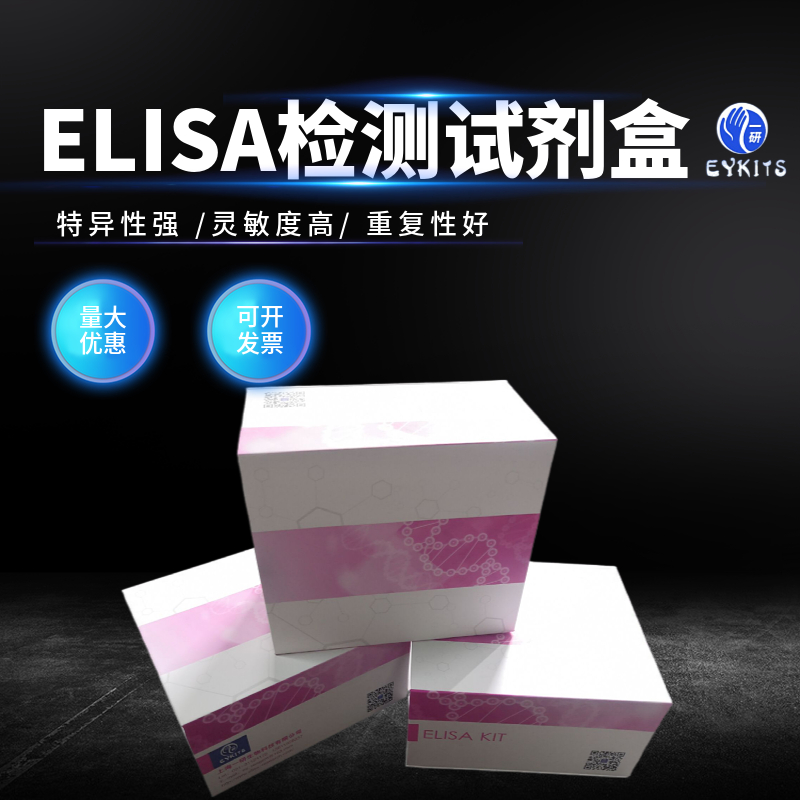 小鼠CD32B分子ELISA试剂盒