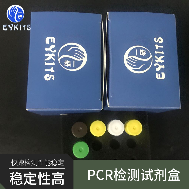 猪痢疾短螺旋体PCR检测试剂盒