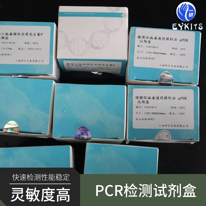支原体通用PCR检测试剂盒