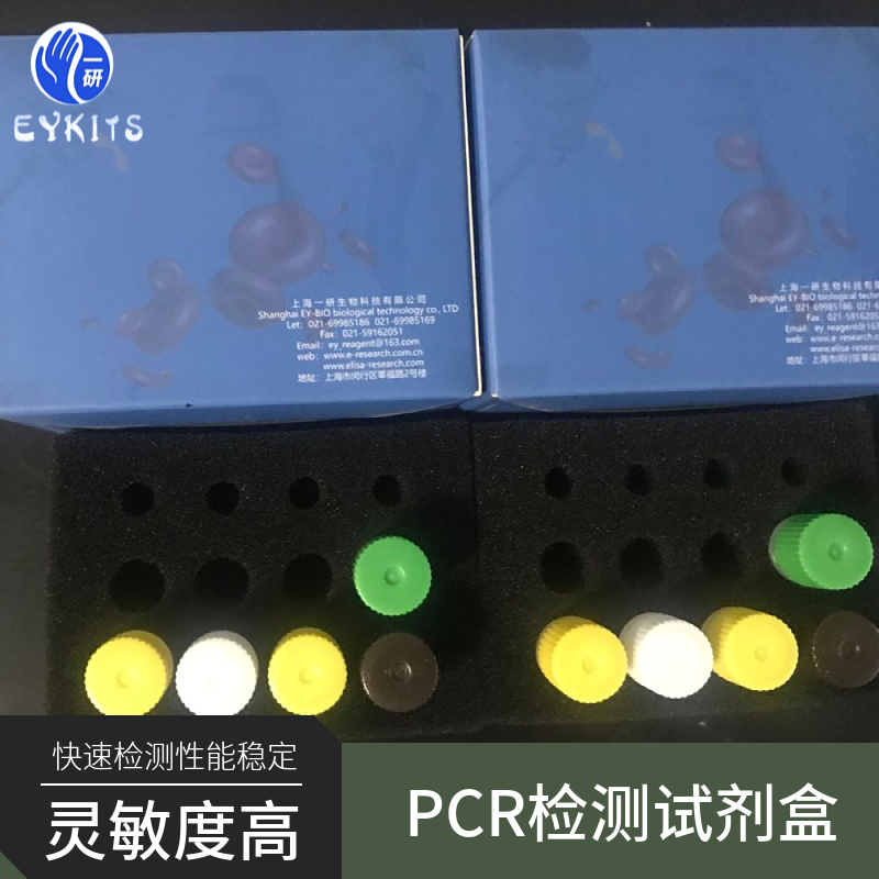 同禽疱疹病毒型鸡传染性喉气管炎病毒PCR检测试剂盒