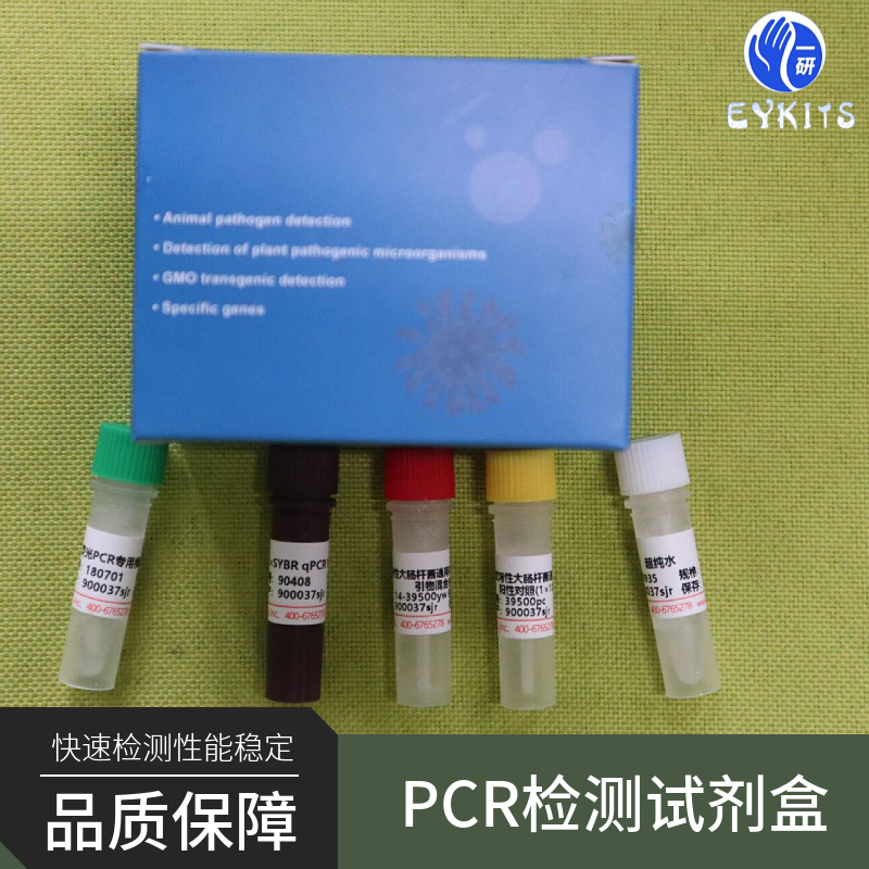 劳斯伴随病毒PCR检测试剂盒