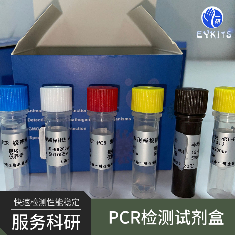 短螺旋体通用PCR检测试剂盒