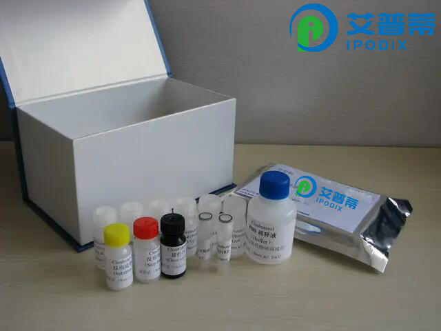 大鼠食欲素A(OXA)Elisa试剂盒