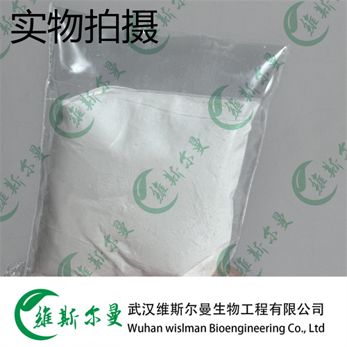 盐酸美西律 5370-01-4 维斯尔曼生物高纯试剂 13419635609