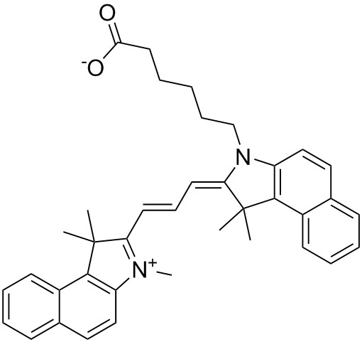 Cy3.5羧酸
