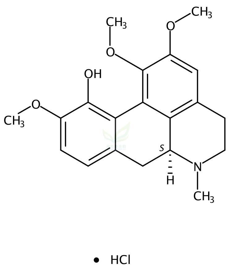 异紫堇定盐酸盐 (+)-Isocorydine hydrochloride 