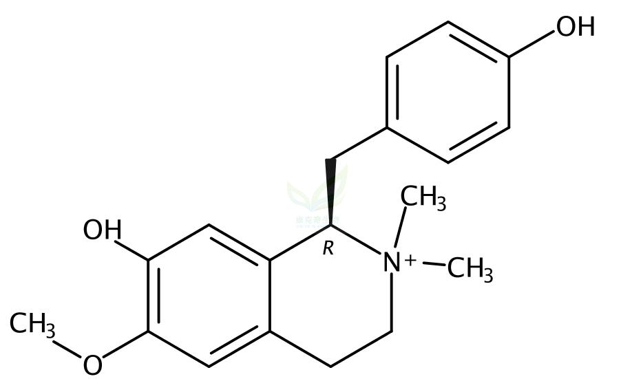 木兰箭毒碱  Magnocurarine 