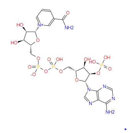 烟酰胺腺嘌呤双核苷酸磷酸盐，Triphosphopyridine n，53-59-8