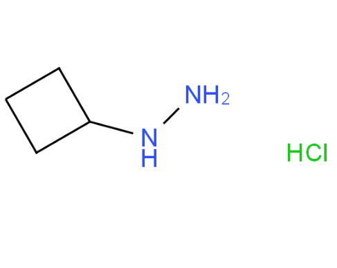 1-环丁基肼盐酸盐（158001-21-9）