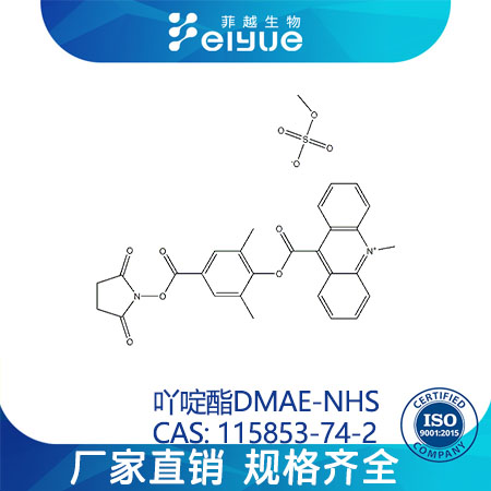吖啶酯DMAE-NHS原料99高纯粉--菲越生物