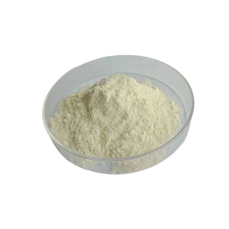 黄芪胶，99%高含量，食品级，CAS NO:9000-65-1