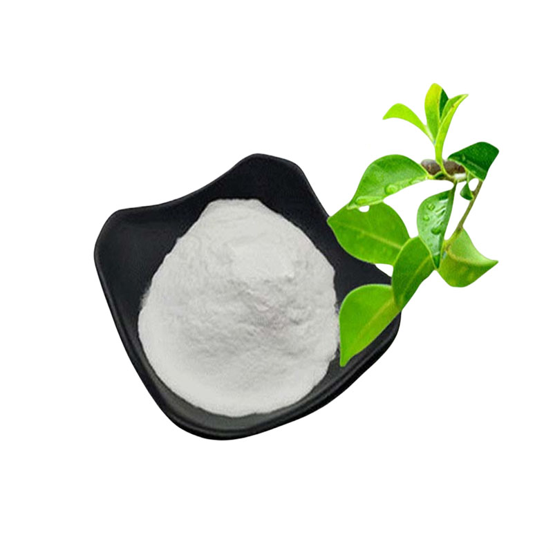 L-茶氨酸 3081-61-6