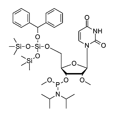 5'-BzH-2'-OMe-Ur-3'-Methoxyphosphoramidite