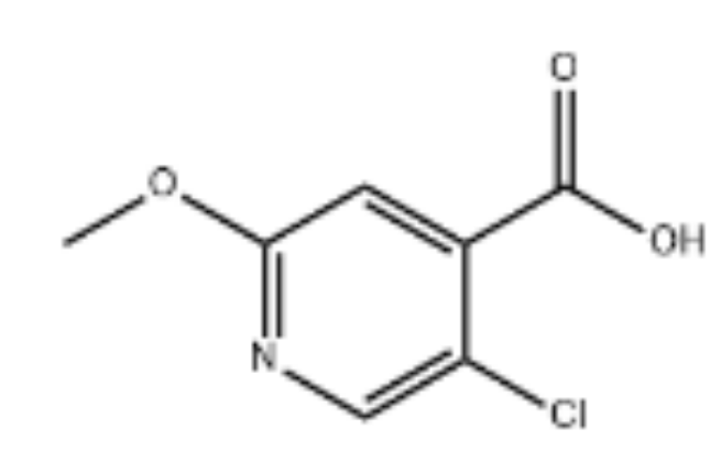 5-氯-2-甲氧基异烟酸