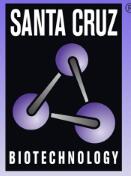 Santa Cruz Biotechnology-1.jpg