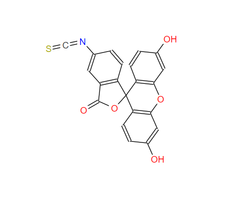 5-异硫氰酸荧光素酯