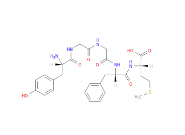 58569-55-4 甲硫氨酸脑啡肽酰胺 MET-enkephalin
