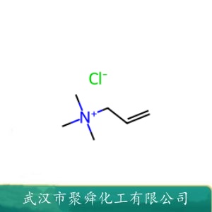 烯丙基三甲基氯化铵 1516-27-4 两性离子型水处理阻垢分散剂 絮凝剂