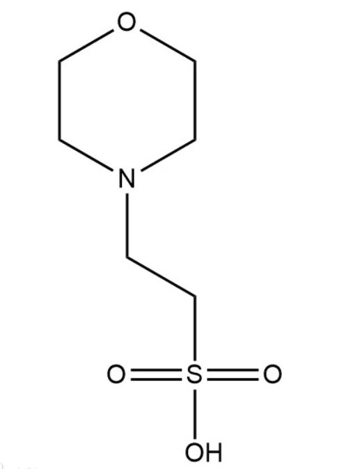 2-(N-吗啉)乙磺酸 4432-31-9MES