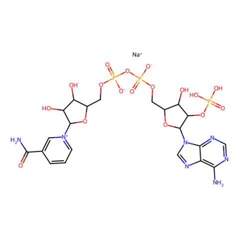 aladdin 阿拉丁 N107170 β-烟酰胺腺嘌呤二核苷酸磷酸钠盐(NADP) 1184-16-3 97%