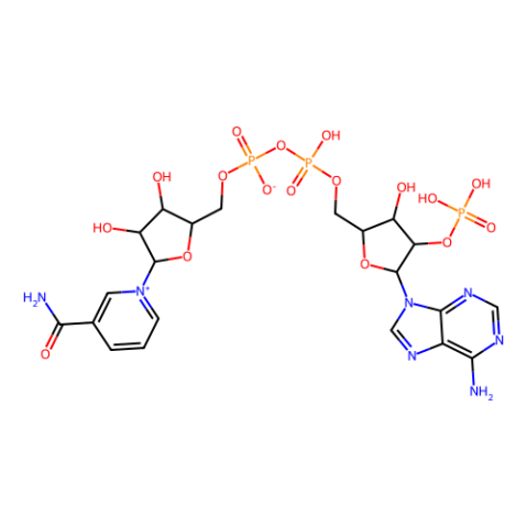 aladdin 阿拉丁 N101669 β-烟酰胺腺嘌呤二核苷酸磷酸(NADP)水合物 53-59-8 95%